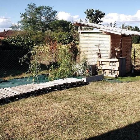 Maison Familiale - Menage, Serviettes, Draps Inclus Gaillac Exteriér fotografie